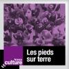 Podcast France culture, Sonia Kronlund, Les pieds sur Terre